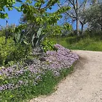 Villa Graziesole Casa Intera In Esclusiva