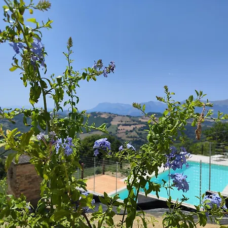 Graziesole Casa Intera In Esclusiva