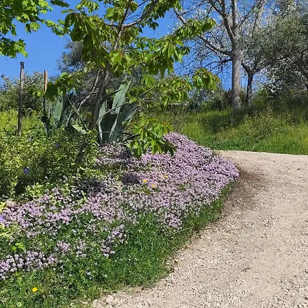 Βίλα Graziesole Casa Intera In Esclusiva