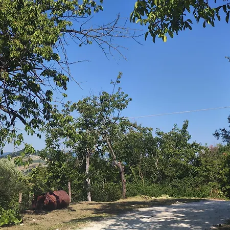 Graziesole Casa Intera In Esclusiva Villa