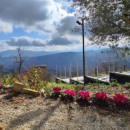 Graziesole Casa Intera In Esclusiva Βίλα Penna San Giovanni