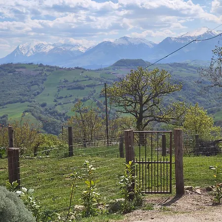 Villa Graziesole Casa Intera In Esclusiva Penna San Giovanni