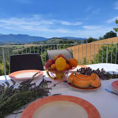 Villa Graziesole Casa Intera In Esclusiva