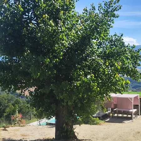 Villa Graziesole Casa Intera In Esclusiva *