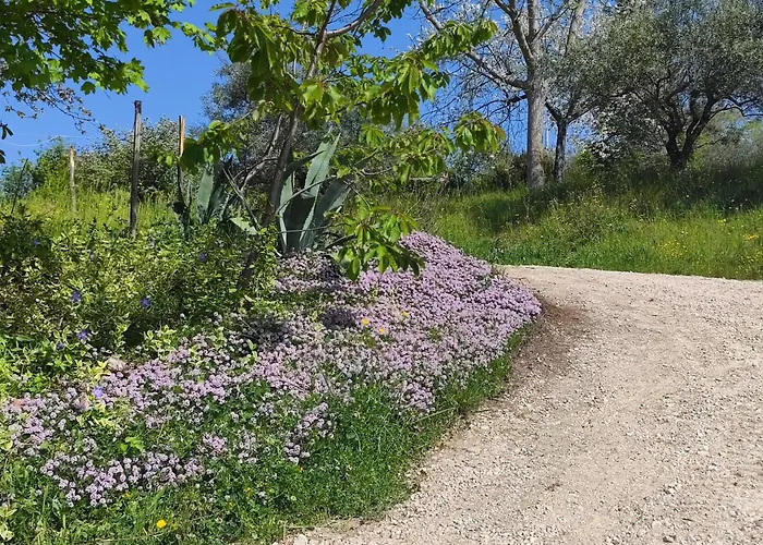 Villa Graziesole Casa Intera In Esclusiva