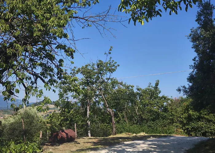 Graziesole Casa Intera In Esclusiva Villa