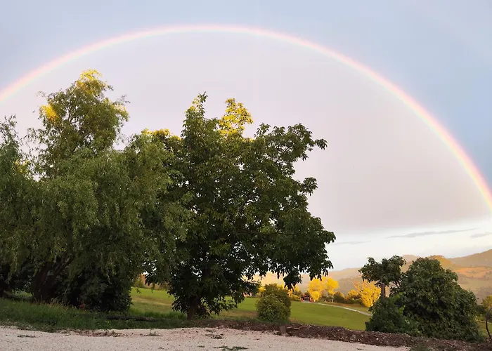 Villa Graziesole Casa Intera In Esclusiva Penna San Giovanni